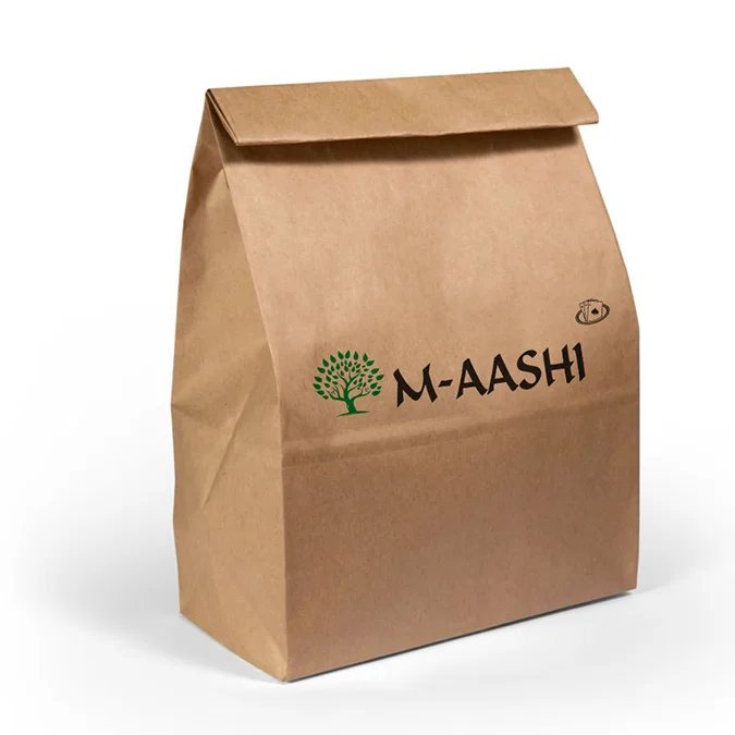 AASHI Energy Bag Lifestyle