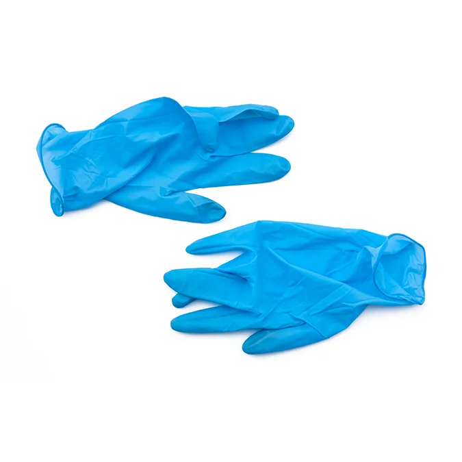 Every day 10in Foam Plate with Spaghetti